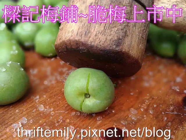 【台中伴手禮】樑記梅鋪~來自水里的50年老店,一年只賣一個月的春釀手工脆梅上市中/各種蜜餞/酸梅湯/梅製品