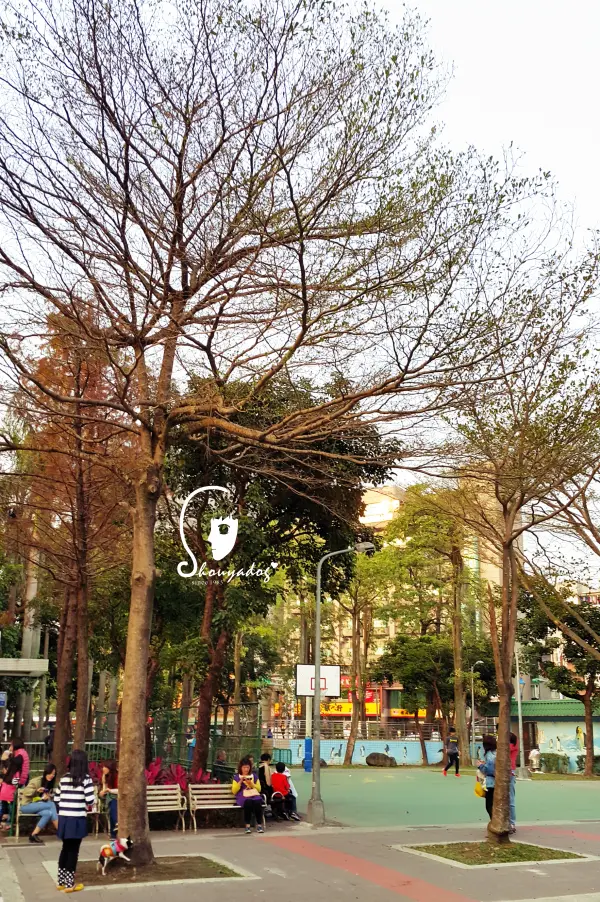 【觀光景點】逛街購物蹓小孩吃點心一次完成的五分埔公園        
      