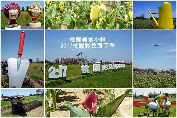 【桃園彩色海芋季】3/31-4/9芋見你真好