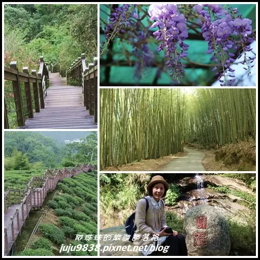 嘉義。瑞里浪漫紫藤花季。綠色隧道。野薑花步道。瑞太古道。圓潭生態園區。太興岩步道