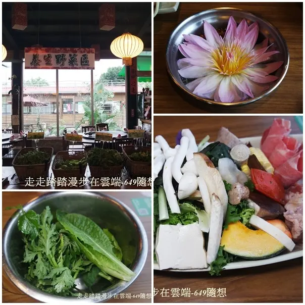 花蓮/吉安特色鍋物【櫻の田野養生野菜鍋】九品蓮花鍋超吸睛&野菜吃到飽