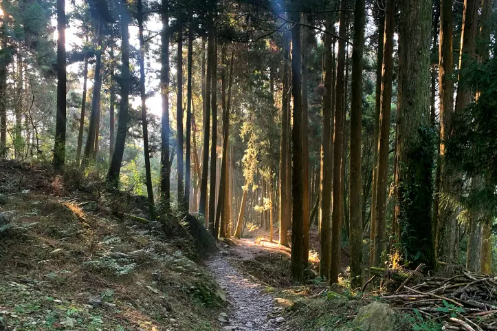 苗栗泰安必訪自然景點/ WalkerLand窩客島整理提供 未經許可不可轉載
