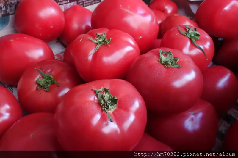 『桃園美食』-中壢中央西路二段．一樹食品 / 桃太郎蕃茄 / 無毒有機 / 東方美人茶 / 日曬米 / 柿餅