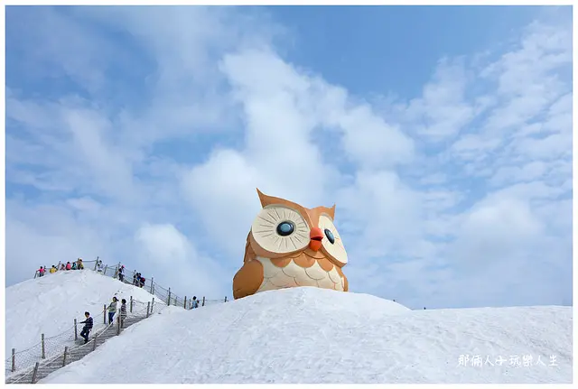 『台南景點』-第二站 七股鹽山新亮點~超萌超療癒ㄟ貓頭鷹公仔