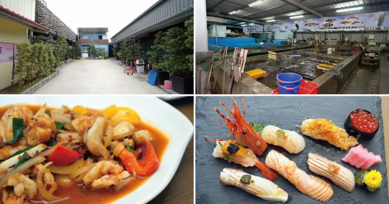 【台南海鮮餐廳】瓏豐水產 四草店｜隱藏版頂級日式料理｜從捕撈到販售一條龍｜活體海鮮養殖現撈現吃