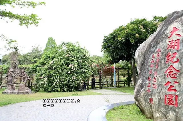 2020桃園龜山大湖公園，一園兩景紫藤花加上流蘇強力大放送，可惜最大值已過～