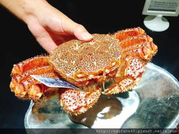 [台北美食] 我的生日大餐「鼎膾北海道毛蟹專賣店」吃完橫著走3年！#信義安和站