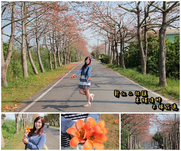 【彰化景點】二林鎮東螺溪畔木棉花道~綿延一公里的火紅木棉花道，吸引了不少旅人來鄉間尋幽        
      