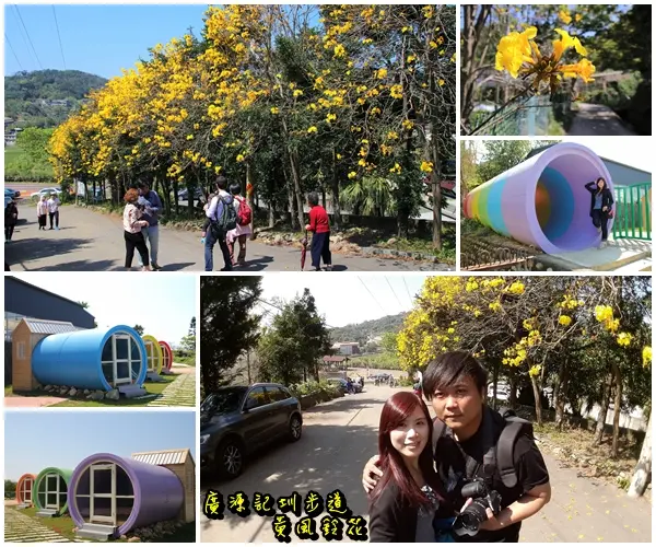 【新竹景點】新埔巨埔農場~廣源記圳步道/黃風鈴花盛開/遇見七彩繽紛的夢幻彩虹水管屋        
      