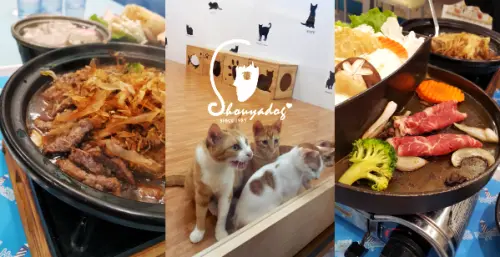 【親子餐廳】快來幸福燈塔復合式餐飲找貓咪玩~ 一同品嚐北港的幸福滋味