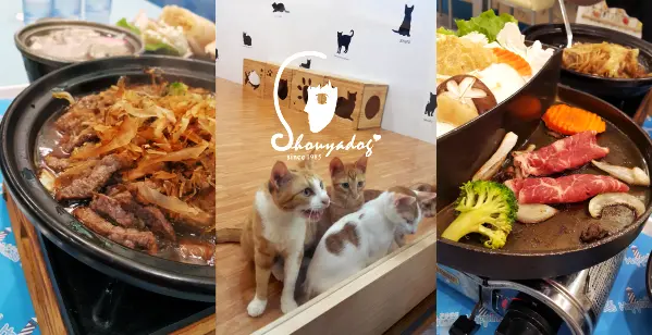 【親子餐廳】快來幸福燈塔復合式餐飲找貓咪玩~ 一同品嚐北港的幸福滋味