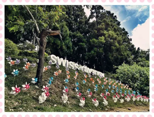 【南投】婆婆媽媽團衝合歡山/超罩均亞小客車