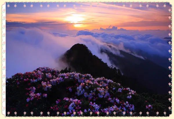 小小避暑之旅 均亞小客車合歡山半日遊