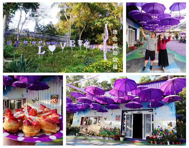 苗栗景觀餐廳 ▶ 噢哈娜咖啡屋 ▶ 紫藤花咖啡廳・浪漫紫色系餐廳 賞紫藤花・浪漫紫色系雨傘美拍 徜徉紫色浪漫氛圍裡