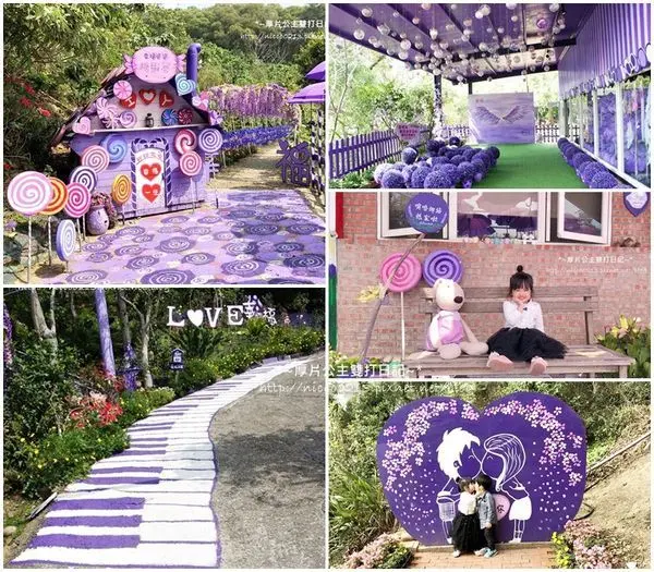 【苗栗●西湖】夢幻紫色浪漫│紫藤隧道│糖果屋│鬆餅下午茶│噢哈娜咖啡屋