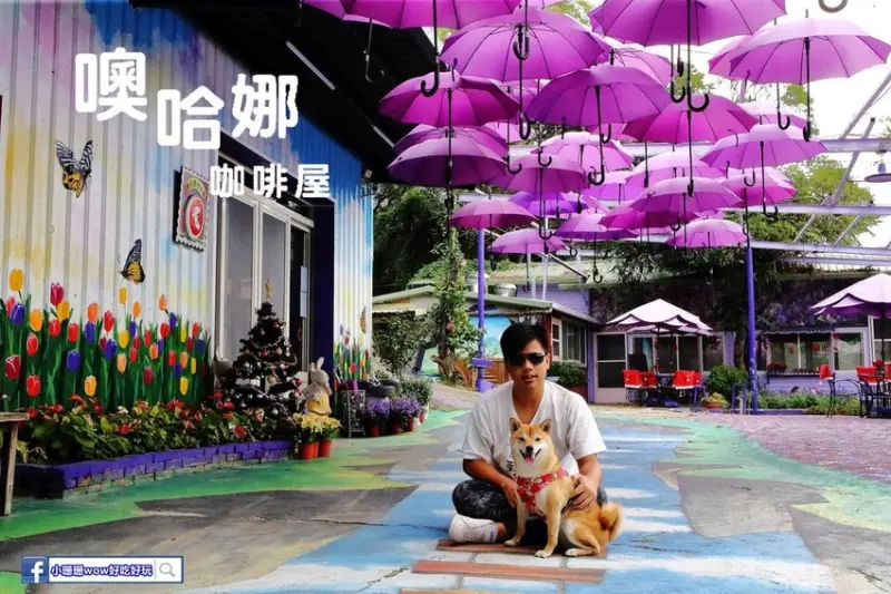 【遊。苗栗】噢哈娜咖啡屋〜寵物旅遊景點。會跟著你飛的雨傘！紫色風暴來襲，完全沉浸在這片紫色浪漫