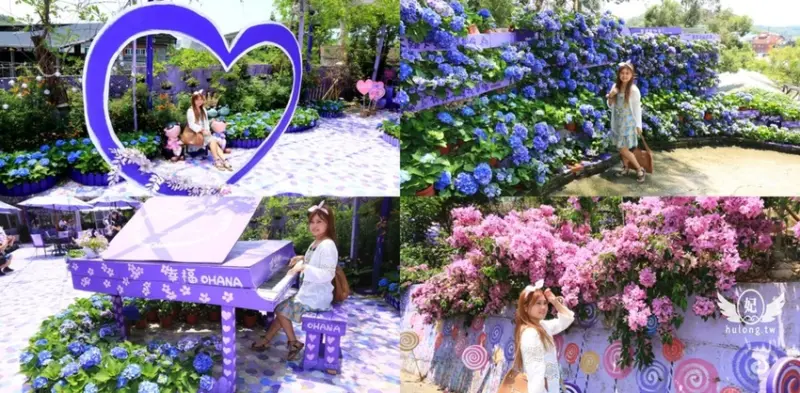 「苗栗噢哈娜咖啡屋」仙紫系繡球花景點浪漫爆了!西湖景觀下午茶餐廳! - 珍太妃旅遊親子生活