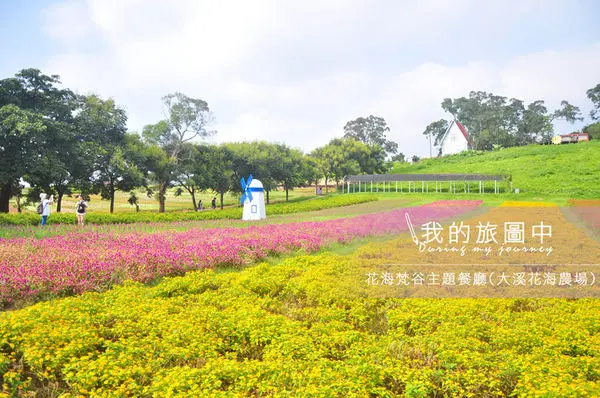 【遊記】桃園大溪 花海梵谷主題餐廳(大溪花海農場) 南歐浪漫彩虹花海