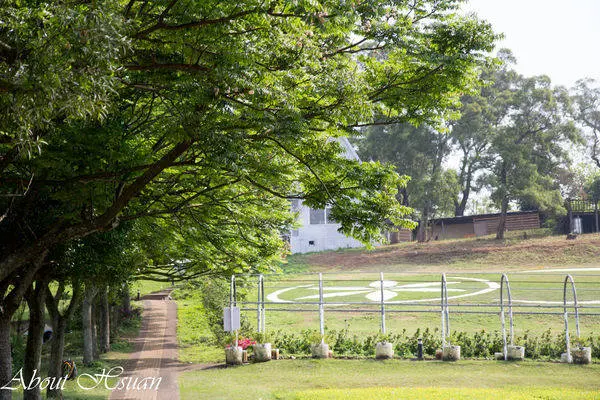摩艾巨石像-大溪花海農場親子遊推薦        
      