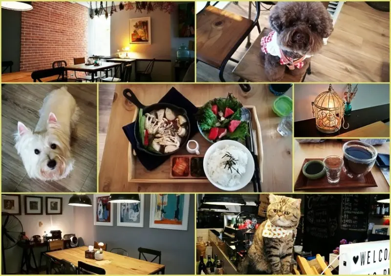 ※寵物友善餐廳※桃園未秧咖啡~西高第白㹴+貓咪小噗仔店寵 晚上變身小酒館 ★小精靈胡扯蛋★2018.9.11