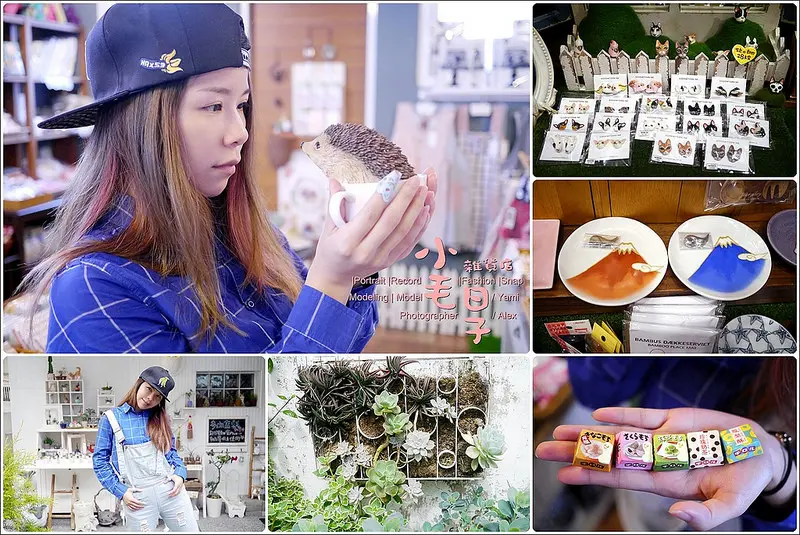 台中║小毛日子雜貨店 ►► 勤美誠品草悟道巷子日本雜貨動物雜貨店 x 多肉迷日本雜貨動物迷一定要來不能錯過的日貨店（IG熱門打卡點文末小整理）