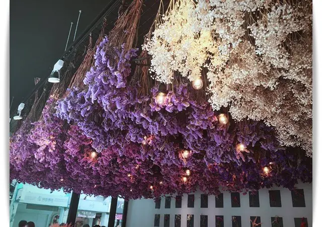 好美好美，花海下吃冰!! -「夜貓子雪花氷」