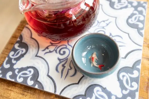 時安靜好 - 杯底不能養錦鯉