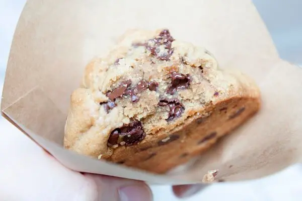 COFFEE DPT - 獨樂樂不如眾樂樂，我吃蚊子也在吃