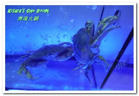 景美現流海鮮．市區也能吃到高檔活跳跳海鮮／特色鍋物──濟鴻火鍋        
      