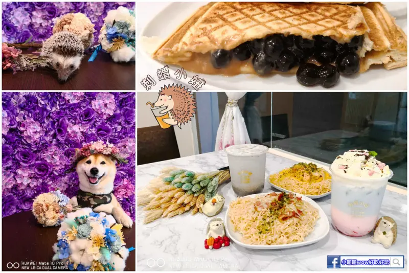 【食。台北】刺蝟小妞•創意調飲 特製輕食〜療癒系寵物友善餐廳。寵物迷必收藏，刺蝟萌樣，可愛到融化你的心！