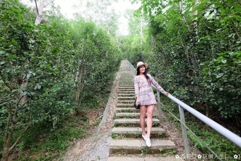 五月雪桐花小秘境『劍潭古道』，古道幽靜鳥語花香，沿路還可以欣賞到客家俚語精髓，最後再敲響祈福鐘，真是所謂滿足身心靈的好去處啊！(花況107/05/01)