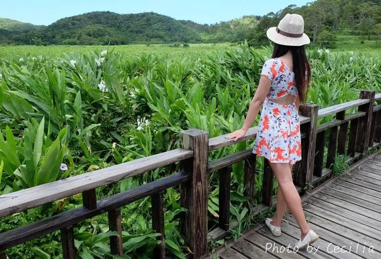 【屏東。牡丹鄉】誠摯推薦！這裡蘊含豐富溼地生態區，絕對是生態旅遊的最佳地點~東源國家重要濕地、哭泣湖(東源湖)