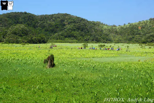 【屏東。牡丹】東源濕地。水上草原。部落美麗的後花園