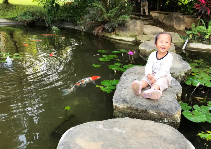 ∥嘉義旅遊∥少女心滿滿的幸福山丘，享受大自然洗禮，免門票，還有超好拍貨櫃咖啡廳！