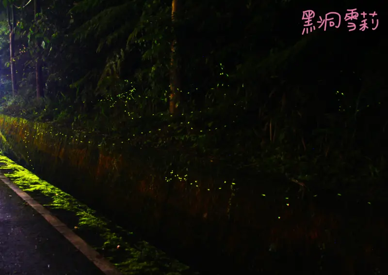 【住宿】新竹／竹東「丘上行館」．民宿/螢火蟲/DIY巧克力/親子