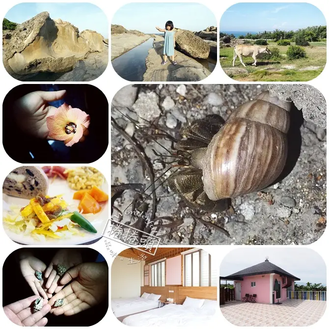  【台東遛小孩景點】夜訪小野柳，幫寄居蟹換殼，賞太平洋，住海邊度假小別墅