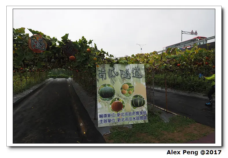 新北市-淡水區-南瓜隧道+阿婆麵店+双元成+許義魚酥+合益魚酥