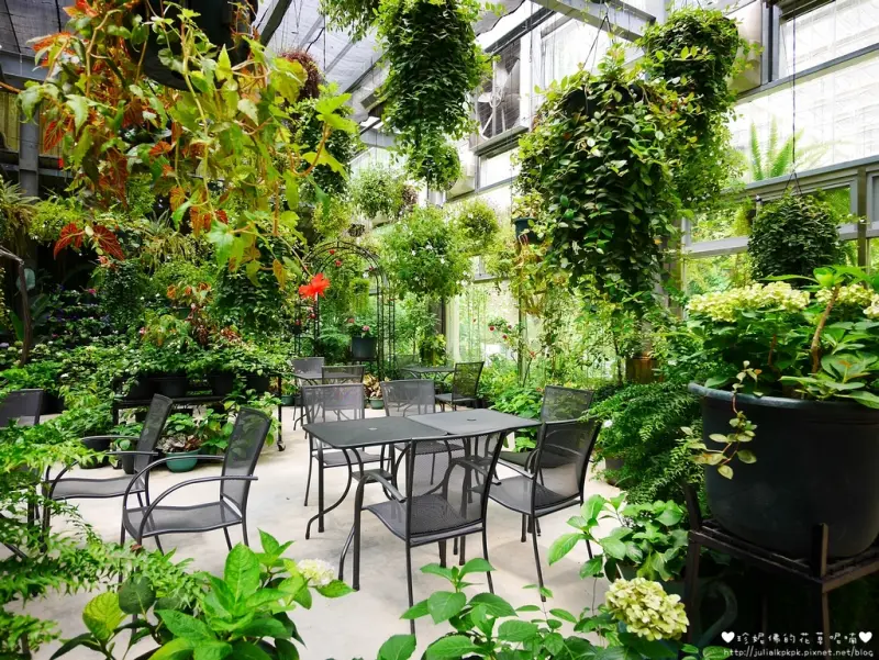 【新竹-關西鎮】台灣花鳥園