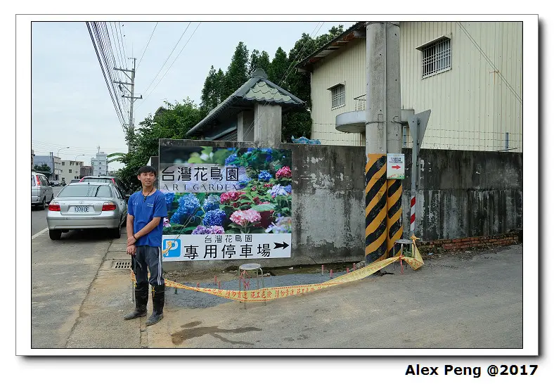 新竹縣-關西鎮-台灣花鳥園+轉角豬頭肉麵+石店子老街