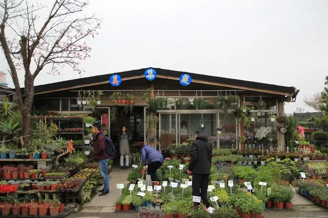 台北。北投。傳遞盆中的療癒風景 / 美集庭園藝