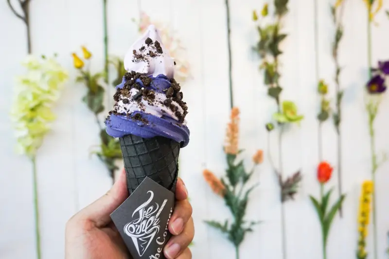 【高雄 The Corner。美式手作霜淇淋／巷弄內的小宇宙／IG網美集散地】苓雅區