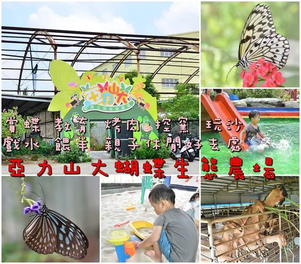 【台南仁德區】『亞力山大蝴蝶生態農場』工業區裡的桃花園，賞蝶 教育 烤肉 控窯 玩沙 戲水 餵羊 親子休閒好去處