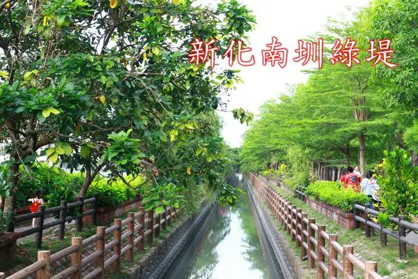 【景點】台南新化~新化南圳綠堤‧鳥語花香‧還有稻香‧健身好去處
