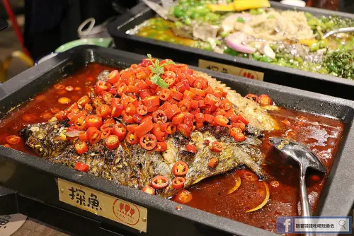 【羽諾x探魚】台中好吃烤魚/公益路必吃美食 聚會餐廳推薦