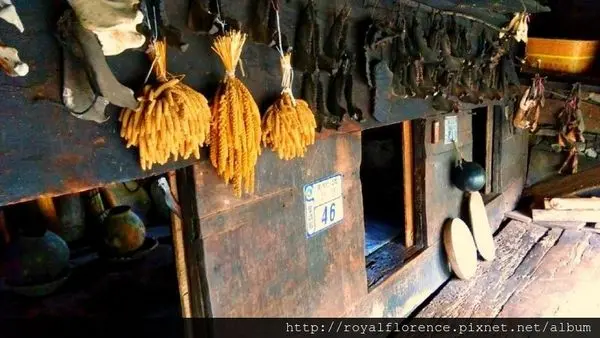 [遊記] 蘭嶼 野銀部落 傳統地下屋參觀導覽