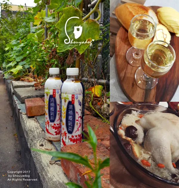 【養生飲品】純天然茶飲新寵 保力達清補養氣茶 零卡無負擔              