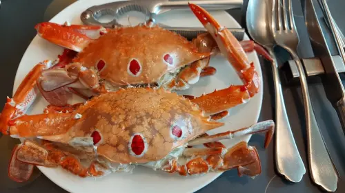 20200915 饗饗10訪，下午茶