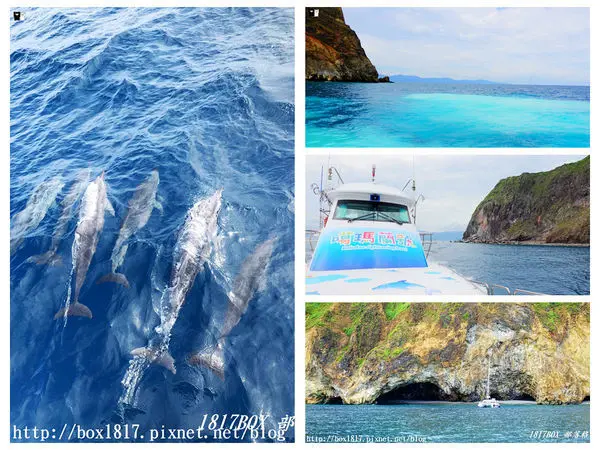 【宜蘭。頭城】乘風破浪出航趣。海豚悠游伴我行。搭乘噶瑪蘭號。龜山島繞島賞鯨