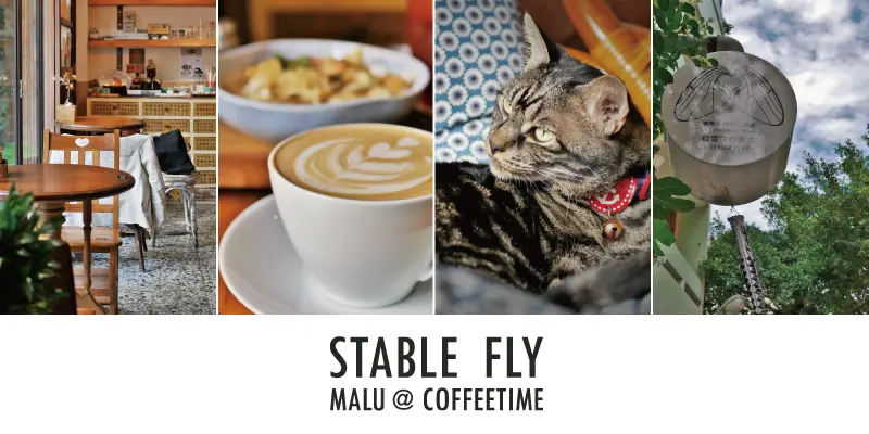 《彰化咖啡》穩定飛行模式Stable Fly│永樂街巷弄裡玩樂復古靈魂的老宅咖啡館