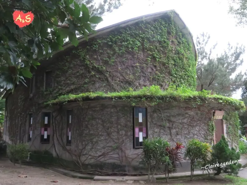 花蓮 新城 新城天主堂~綠色若亞方舟。日式風神秘教堂